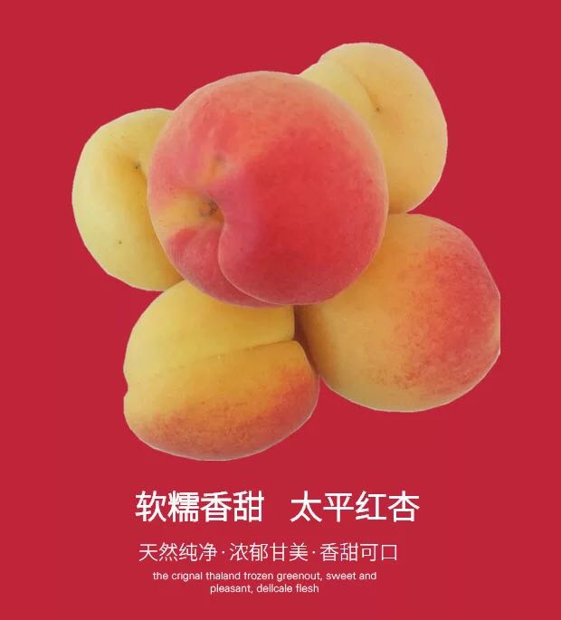 陕西大荔太平大红杏