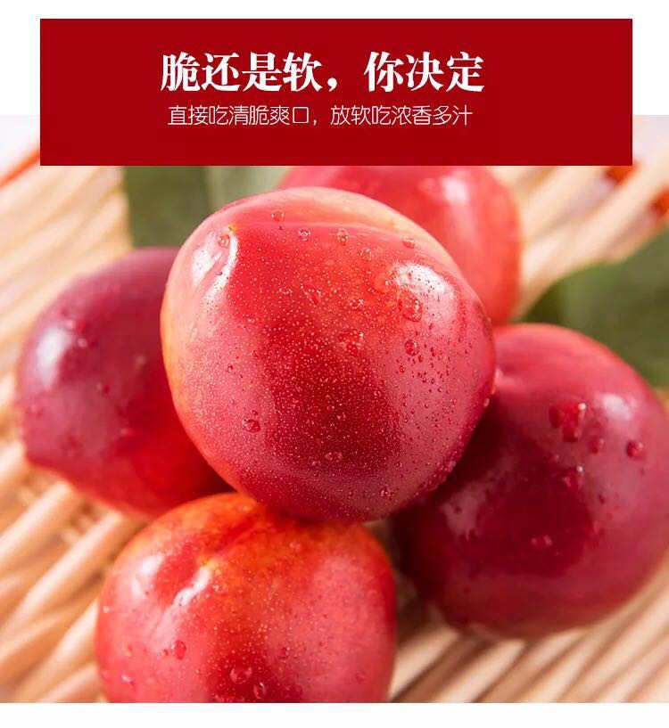 老陕油桃